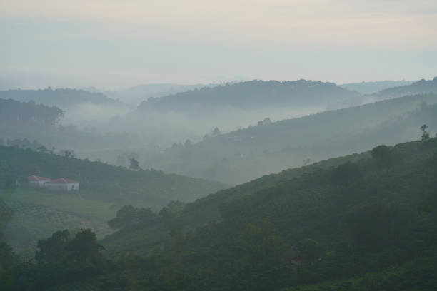 istock Coffee farm in Bao Loc, Vietnam. 1088886836