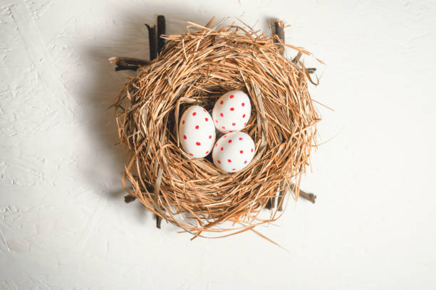 istock Three painted eggs with red spots in a hay nest. Easter Holiday. Top view 1088902960