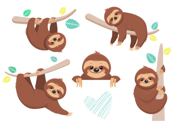 Set of joyful sloth sitting on a branch Set of joyful sloth sitting on a branch. Vector illustration. Cartoon slyle.Isolated on white background lazy stock illustrations