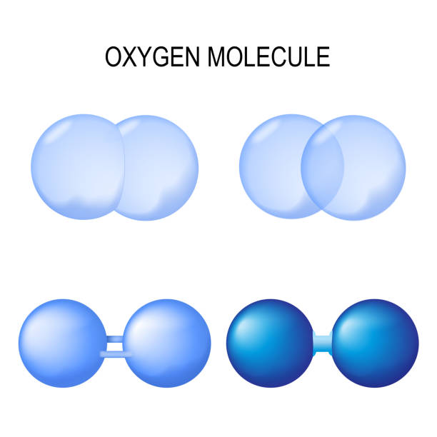 Molecular Structe O2 160+ Molecular Structure Oxygen Molecule Ozone Layer Stock Photos ...