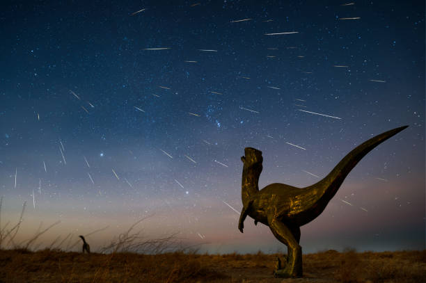 Gemini meteor shower 2018 over dinosaurs in Erlianhot, Inner Mongolia, China Gemini meteor shower 2018 over dinosaurs in Erlianhot, Inner Mongolia, China extinct stock pictures, royalty-free photos & images