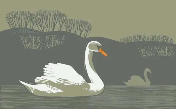 Vector illustration of Countryside scene with Swan