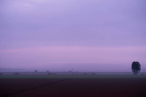 istock misty morning in northen Israel 1088931430