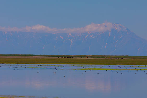 istock Adilcevaz Lake and Village 1088934136