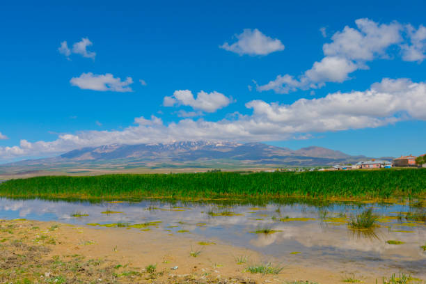 istock Adilcevaz Lake and Village 1088934264
