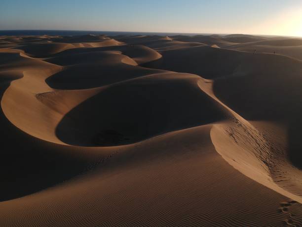 istock Dunes that meet the sea 1088935706
