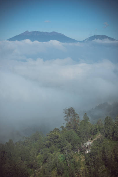Image landscape of volcano forest and layers of mountain in Kawah Ijen, Indonesia