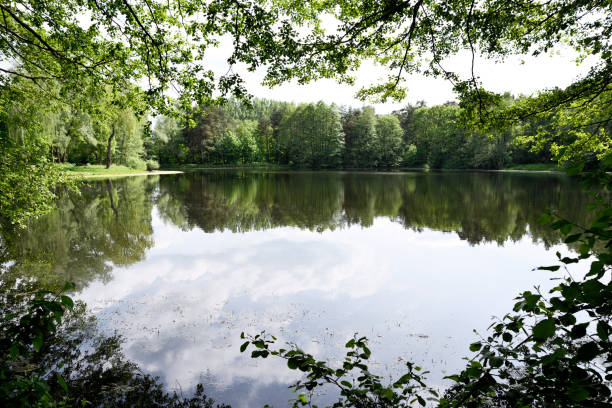 istock Lake in autumn by sunny weather 1088944808