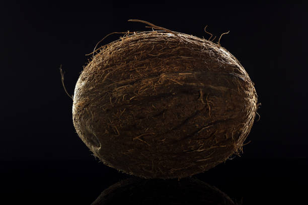 istock Whole ripe coconut close up with a well pronounced texture 1088947694