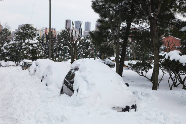 istock Cars covered with snow 1088956186