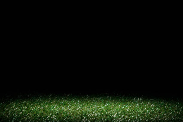 istock lawn with green grass on black, floral background 1088958350