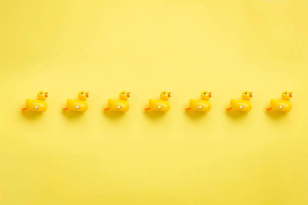 Line of yellow rubber duckies.