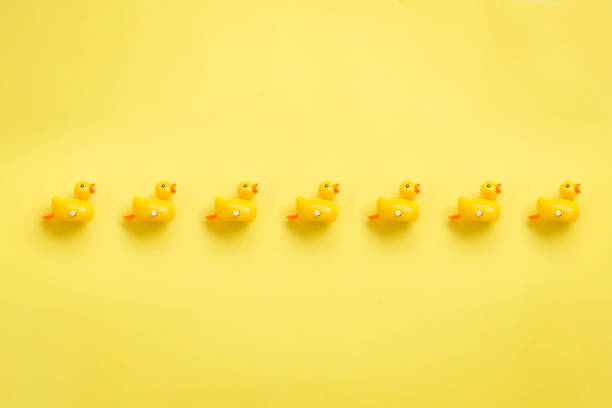 Line of yellow rubber duckies. A line of rubber duckies moving towards same direction. Depecting repetition or blindly following one direction. ducks in a row concept stock pictures, royalty-free photos & images
