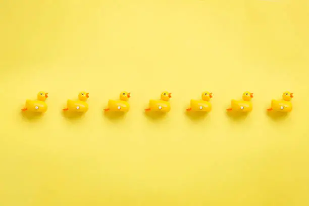 A line of rubber duckies moving towards same direction. Depecting repetition or blindly following one direction.