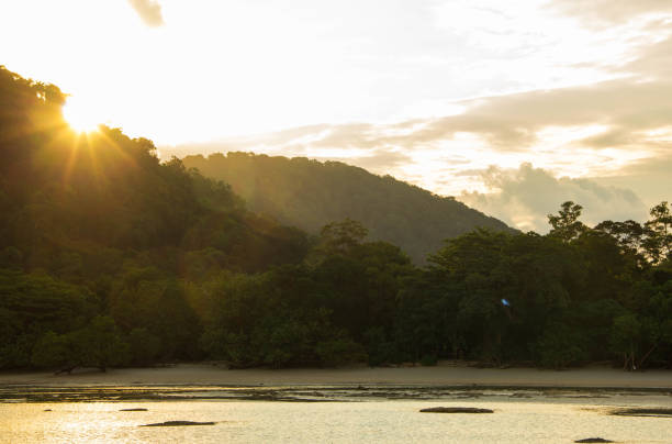 istock sunrise at rainforest on island .thailand 1088979218