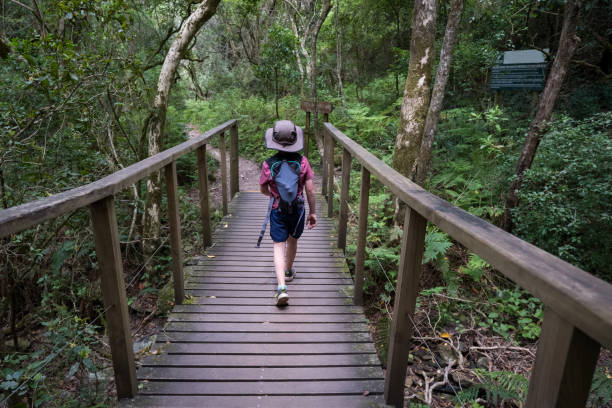 istock Young boy on an adventure walk 1088981824