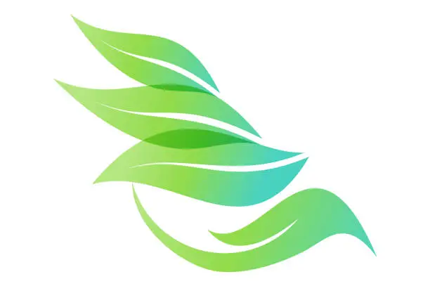logo vector design for organic or leaf