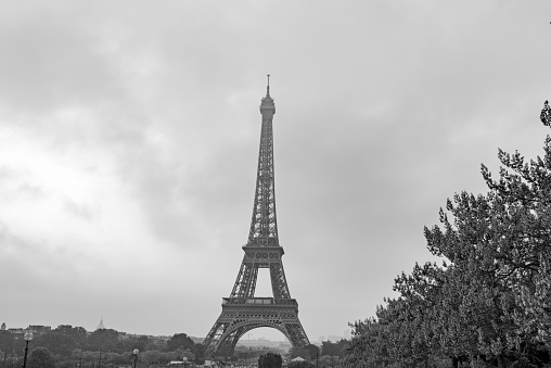 A grayscale shot of the Eiffel Tower in Paris, France