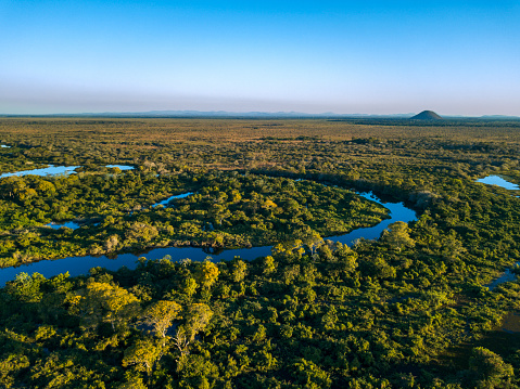 Miranda River photographed in Corumbá, Mato Grosso do Sul. Pantanal Biome, Brazil.
