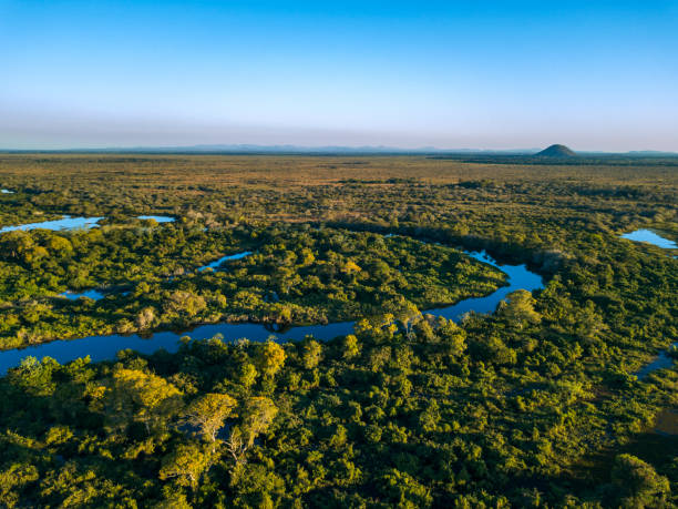 Miranda River photographed in Corumbá, Mato Grosso do Sul. Pantanal Biome, Brazil. stock photo
