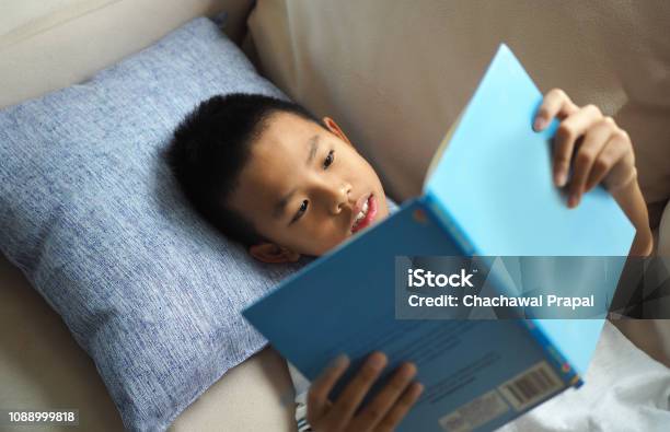 Asian Boy Reading A Book On The Sofa At Home Stock Photo - Download Image Now