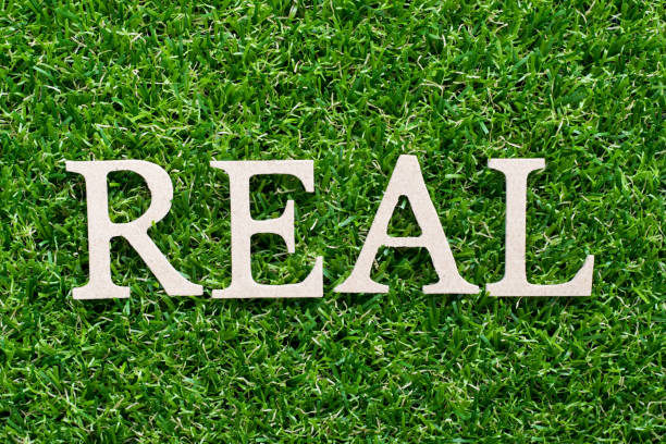 istock Wood alphabet in word real on artificial green grass background 1089008218