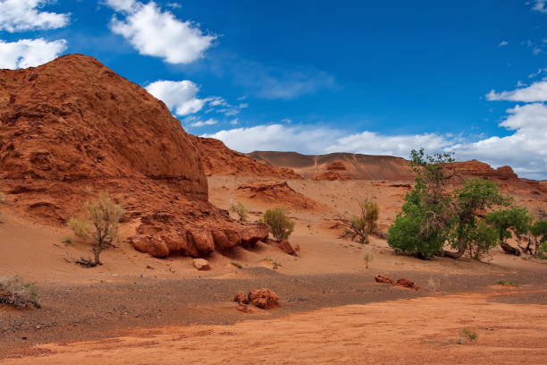 istock Saxaul and poplar in the Herman Tsav oasis. 1089008276