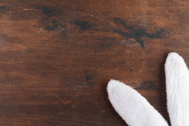White and pink Bunny or rabbit ears on wooden background. Easter minimal concept. Flat lay and view from above