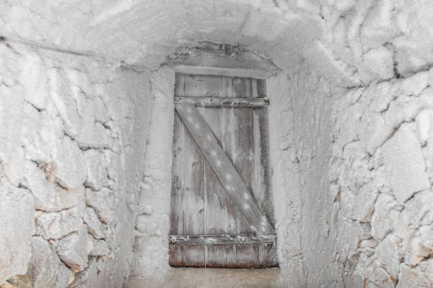 cold cellar with vintage door - lock door horror gate imagens e fotografias de stock