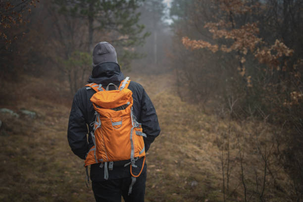 istock Hiking through foggy forest 1089024444