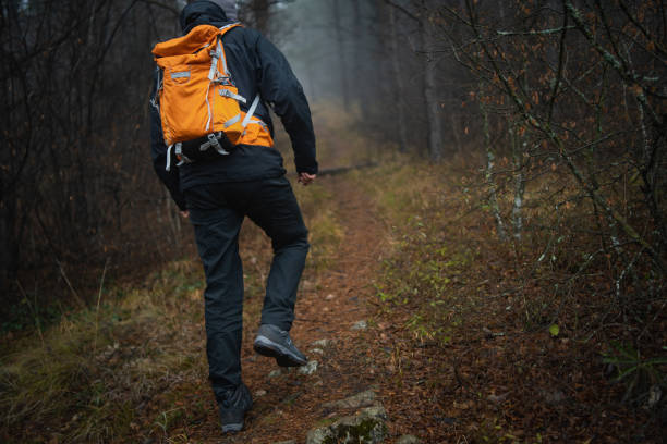 istock Adventurous man hiking in forest 1089026592