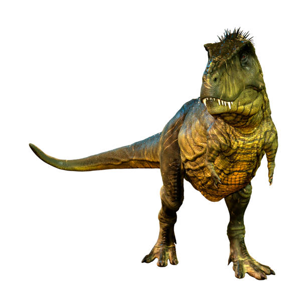 istock 3D illustration dinosaur Tyrannosaurus Rex on white 1089026892