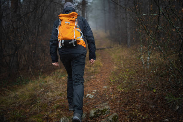 istock Adventurous man hiking in forest 1089026972