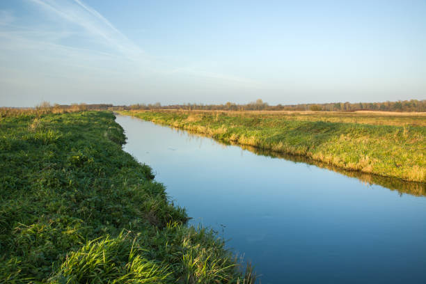 istock Grassy shore and clean river. Poland, the Uherka River 1089031500