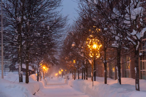 istock Swiss cold winter streetlights snow 1089031648