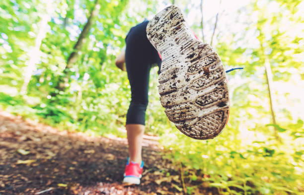 istock Woman jogging through the woods 1089035698