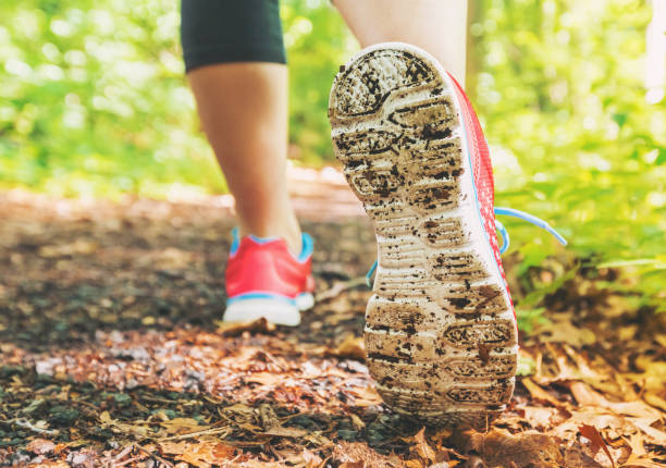 istock Female jogger on a forest trail 1089035706