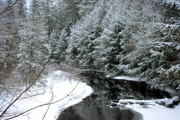 A river meanders through a snow-covered forest.