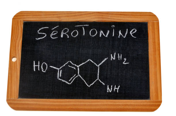 istock Chemical Formula of Serotonin 1089040768