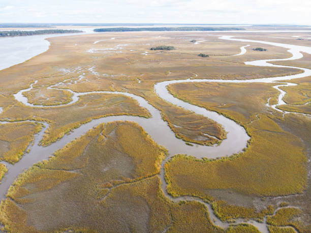 Aerial View of Estuary at Edisto Island Aerial image of winding creeks in a large estuary on Edisto Island. edisto island south carolina stock pictures, royalty-free photos & images