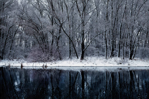 istock winter landscape. Snow covered trees near the water 1089049688