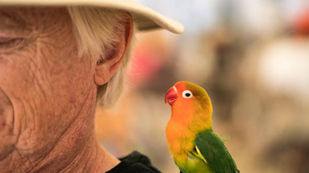 istock Man with a colourful bird 1089050212