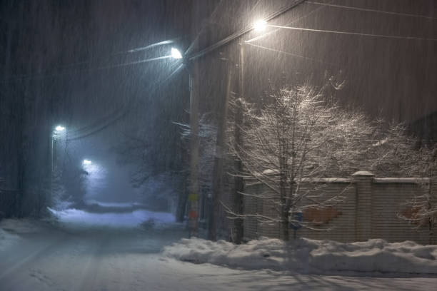istock Winter night landscape with falling snowflakes 1089056938