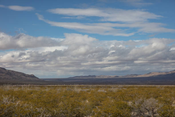 istock Wilderness in New mexico 1089057946