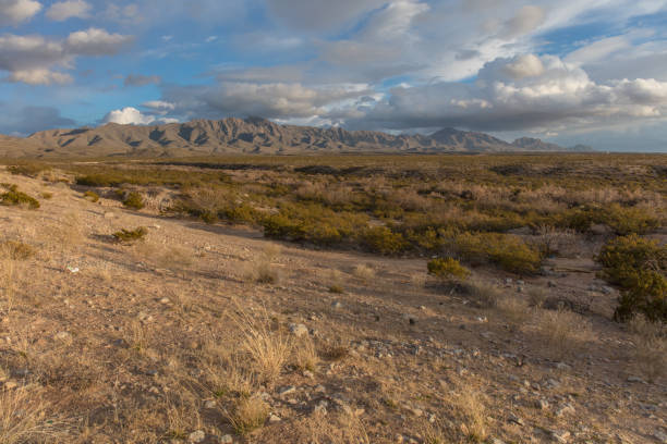 istock Wilderness in New mexico 1089058012