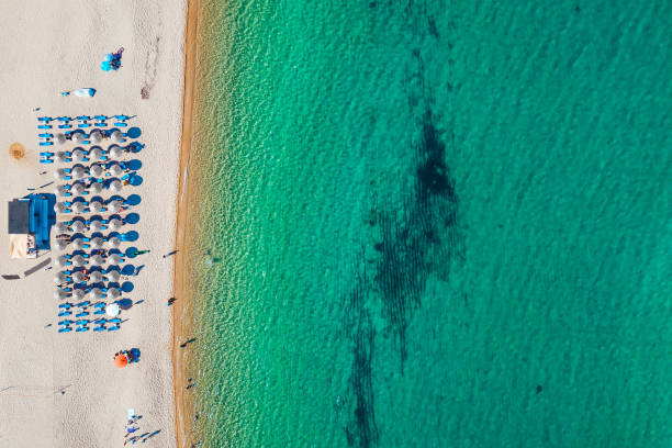 istock Aerial view of a tropical beach 1089061322