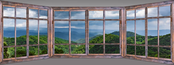 istock view from the window jungle view from the top 1089064070