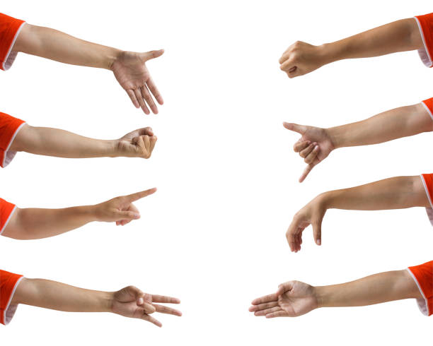 istock Cropped of female hand gesture set isolated on white background. 1089067576