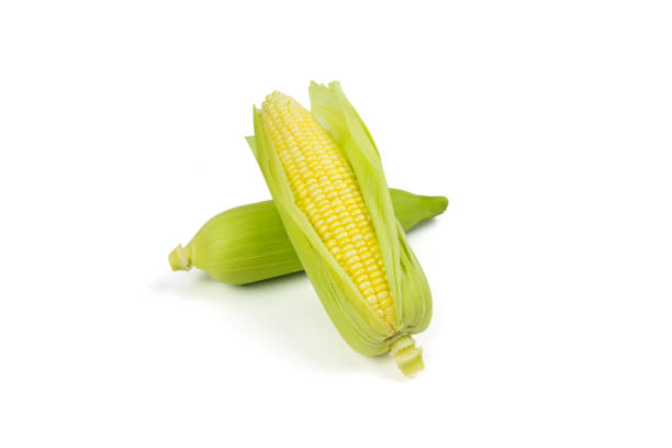 istock Fresh sweet corn cobs with leaves isolated on white background. 1089067578