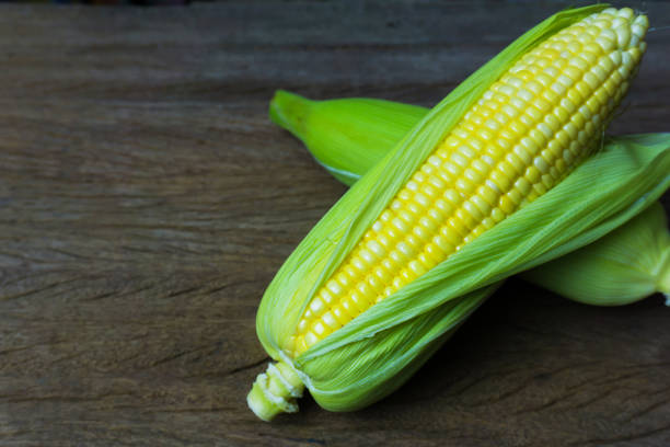 istock Close up fresh sweet corn cobs with leaves on wood table background. 1089067658